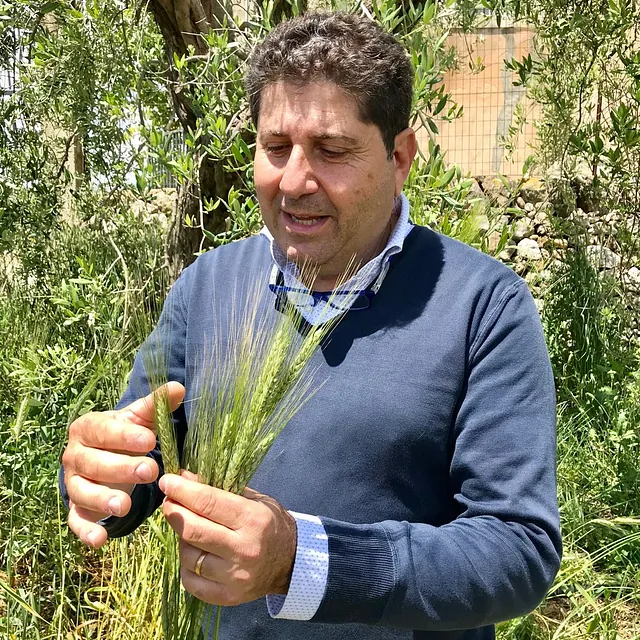 Carmelo with Ancient Grain Tumminia