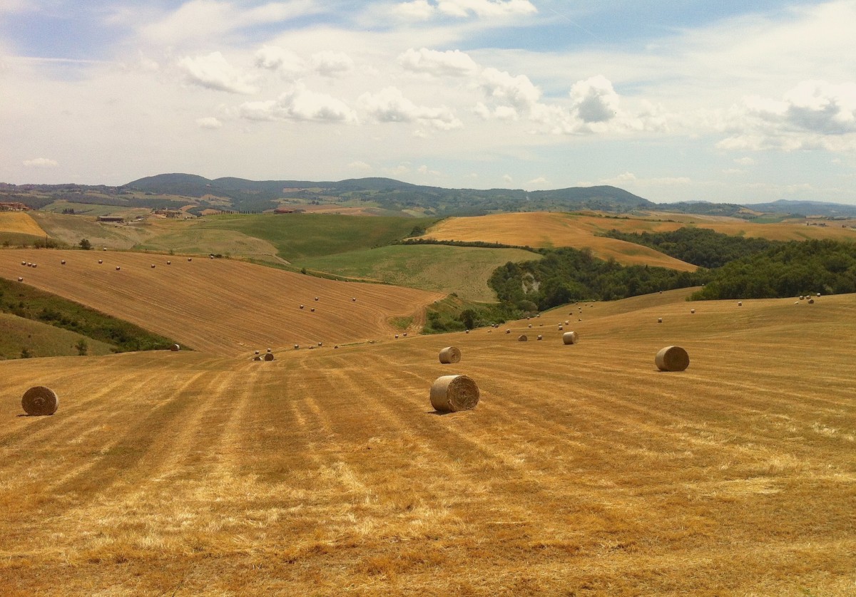 Tuscany