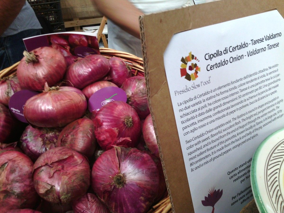 Certaldo Onion Slow Food Presidium in Tuscany