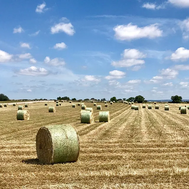 Hay Bales near Modica