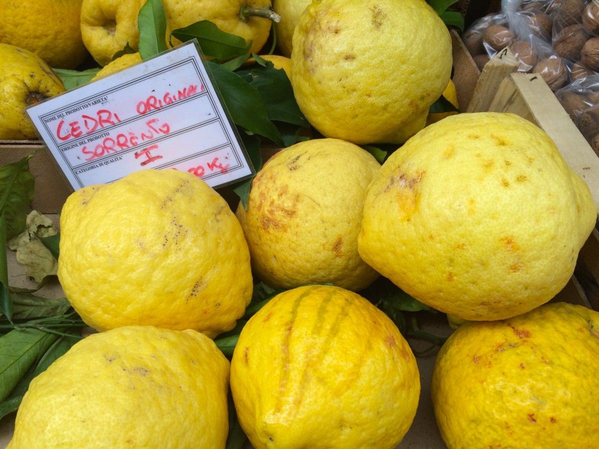 Lemons of Sorrento